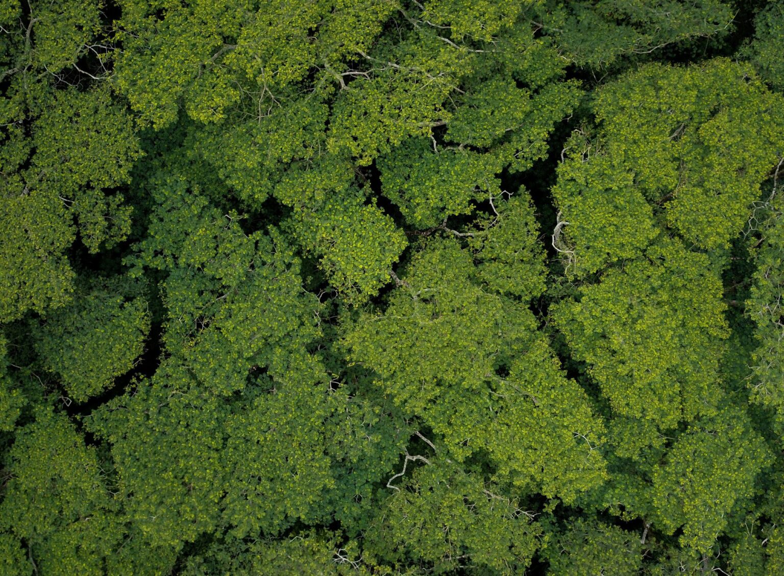 esg bilancio di sostenibilità
