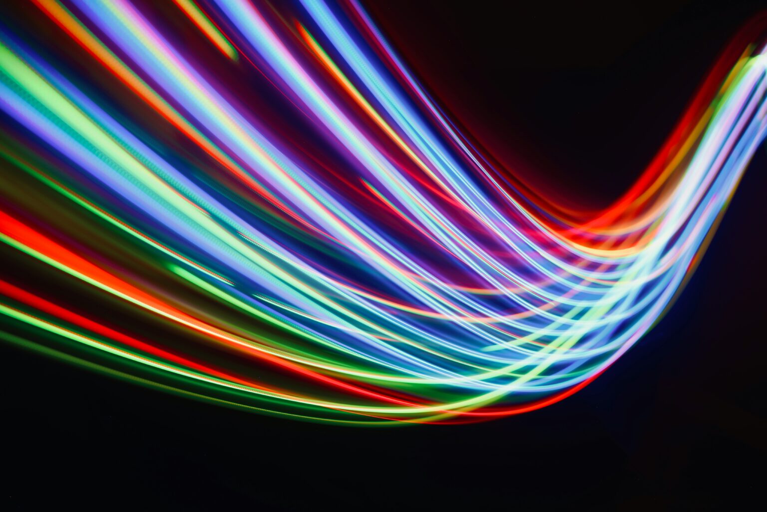 consulente seo treviso