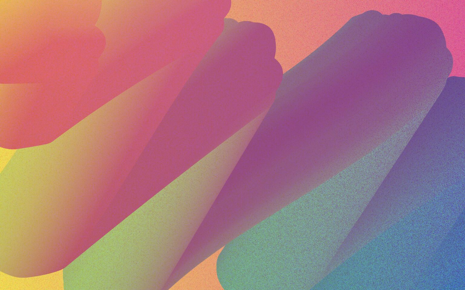 consulente seo belluno