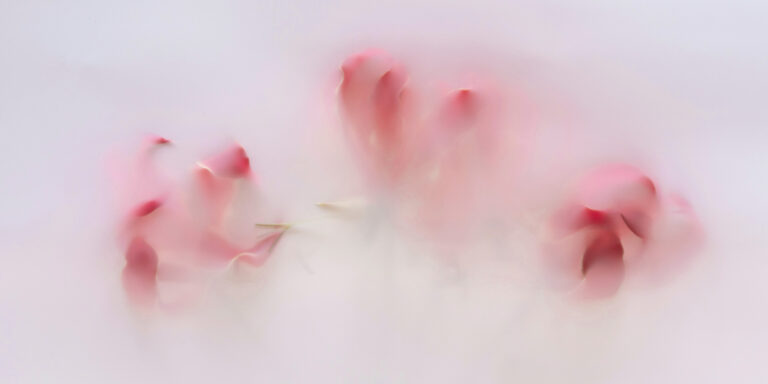 Il valore degli asset invisibili: brand, ESG e bilancio di sostenibilità